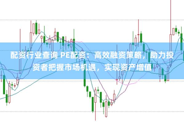 配资行业查询 PE配资：高效融资策略，助力投资者把握市场机遇，实现资产增值