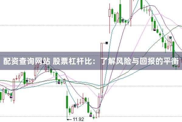配资查询网站 股票杠杆比:了解风险与回报的平衡