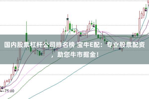 国内股票杠杆公司排名榜 宝牛E配：专业股票配资，助您牛市掘金！