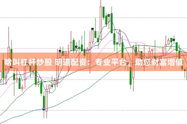 啥叫杠杆炒股 明道配资：专业平台，助您财富增值