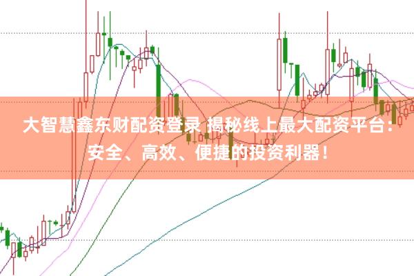 大智慧鑫东财配资登录 揭秘线上最大配资平台：安全、高效、便捷的投资利器！