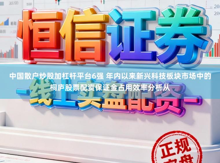中国散户炒股加杠杆平台6强 年内以来新兴科技板块市场中的桐庐股票配资保证金占用效率分析从