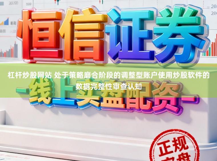 杠杆炒股网站 处于策略磨合阶段的调整型账户使用炒股软件的数据完整性审查认知